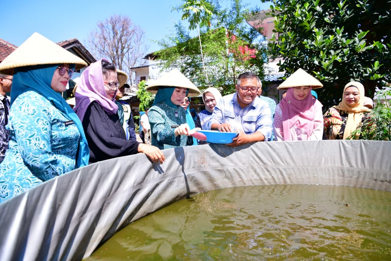 Patut Ditiru, Para Ibu di Cigugur Tengah Cimahi Jadi Ujung Tombak Ketahanan Pangan Keluarga