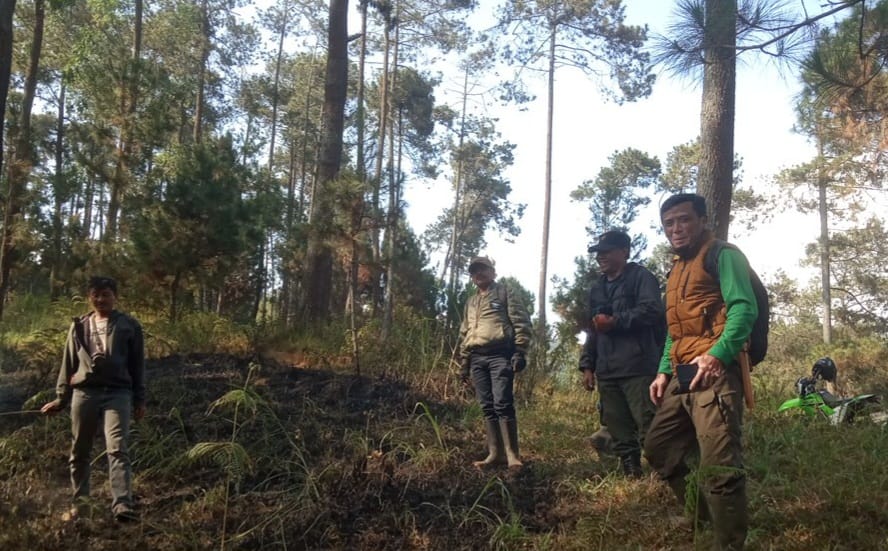Perhutani Bandung Utara dan LMDH Perkuat Patroli Antisipasi Karhutla