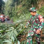 Tim Gabungan Mitigasi Insiden Longsoran Rumpun Bambu Cadas Pangeran