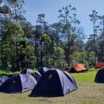 Hutan Pinus Nyawang Bandung Camp Ground, Suguhkan View Kota Bandung