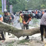 Kodim 0610/Sumedang, Bantu Aparat Pemda Lakukan Penebangan Pohon 