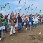 Bulan Cinta Laut 2025, Pegadaian Jabar Tanam Ribuan Mangrove