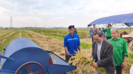 Dr. Ir. Tri Partono Adhi, dosen Teknik Kimia ITB sekaligus perwakilan LPPM ITB, berserta Dirut PT Aimtopindo Setyo Yanus Sasongko bersama aparat setempat saat melakukan panen tanaman padi dari hasil pemupukan kotoran heran olahan teknologi ITB Bandung