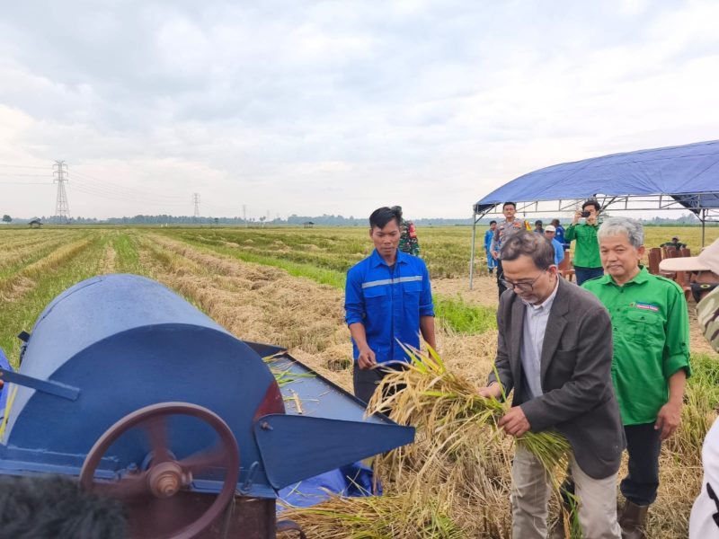 Dr. Ir. Tri Partono Adhi, dosen Teknik Kimia ITB sekaligus perwakilan LPPM ITB, berserta Dirut PT Aimtopindo Setyo Yanus Sasongko bersama aparat setempat saat melakukan panen tanaman padi dari hasil pemupukan kotoran heran olahan teknologi ITB Bandung