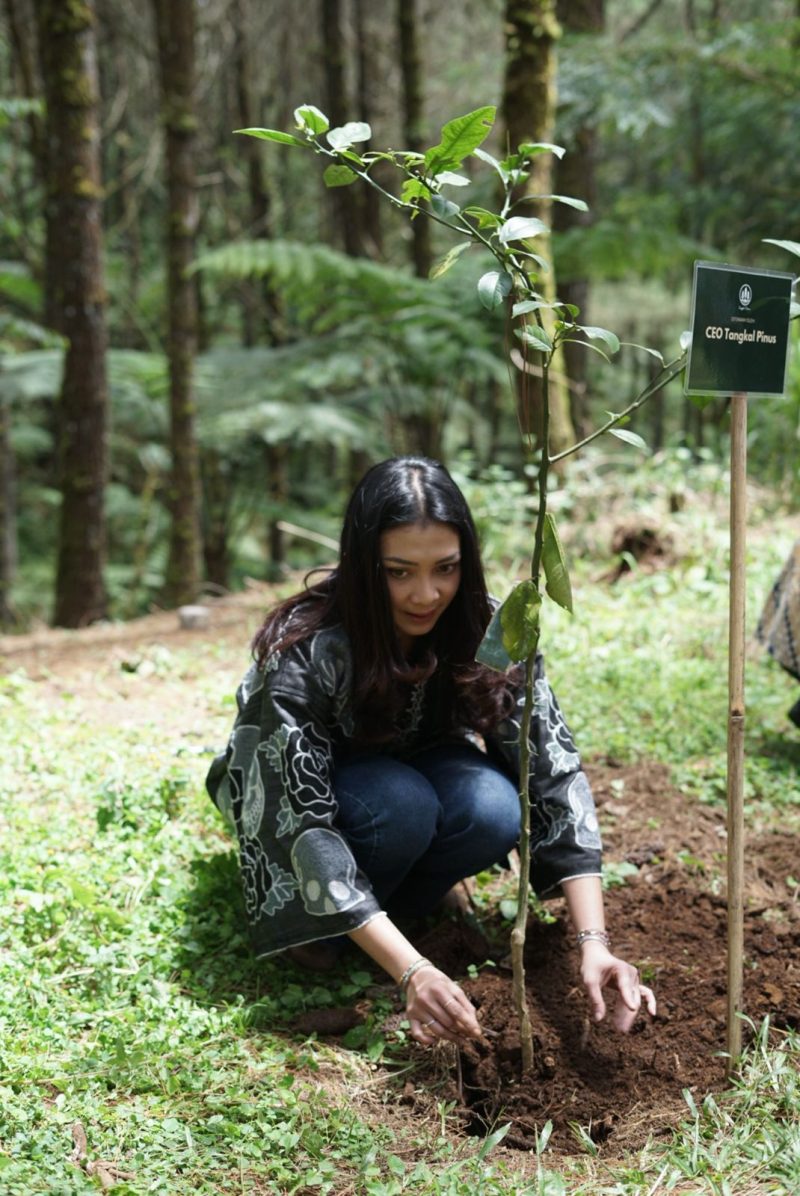 Hijaukan Cikole, Tangkal Pinus Lembang Konsisten Tanam Pohon Cegah Banjir dan Longsor
Upaya pelestarian lingkungan terus digencarkan di kawasan hutan wisata Tangkal Pinus Cikole Jayagiri, Lembang, Kabupaten Bandung Barat. 