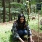 Hijaukan Cikole, Tangkal Pinus Lembang Konsisten Tanam Pohon Cegah Banjir dan Longsor
Upaya pelestarian lingkungan terus digencarkan di kawasan hutan wisata Tangkal Pinus Cikole Jayagiri, Lembang, Kabupaten Bandung Barat. 