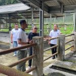 Pastikan Pembinaan Aman dan Berdaya Guna, Kakanwil Ditjenpas Jabar Tinjau Langsung Open Camp Palutungan Lapas Kuningan