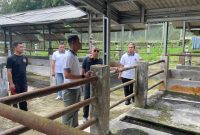 Kepala Kantor Wilayah Ditjen Pemasyarakatan Jawa Barat, Kusnali, turun langsung melakukan monitoring dan peninjauan ke Open Camp Palutungan Lapas Kelas IIA Kuningan, Sabtu (27/12)