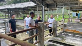 Kepala Kantor Wilayah Ditjen Pemasyarakatan Jawa Barat, Kusnali, turun langsung melakukan monitoring dan peninjauan ke Open Camp Palutungan Lapas Kelas IIA Kuningan, Sabtu (27/12)