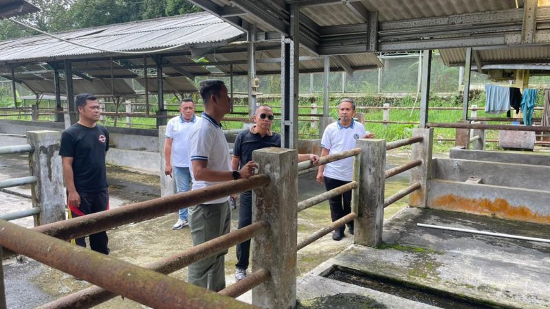 Kepala Kantor Wilayah Ditjen Pemasyarakatan Jawa Barat, Kusnali, turun langsung melakukan monitoring dan peninjauan ke Open Camp Palutungan Lapas Kelas IIA Kuningan, Sabtu (27/12)